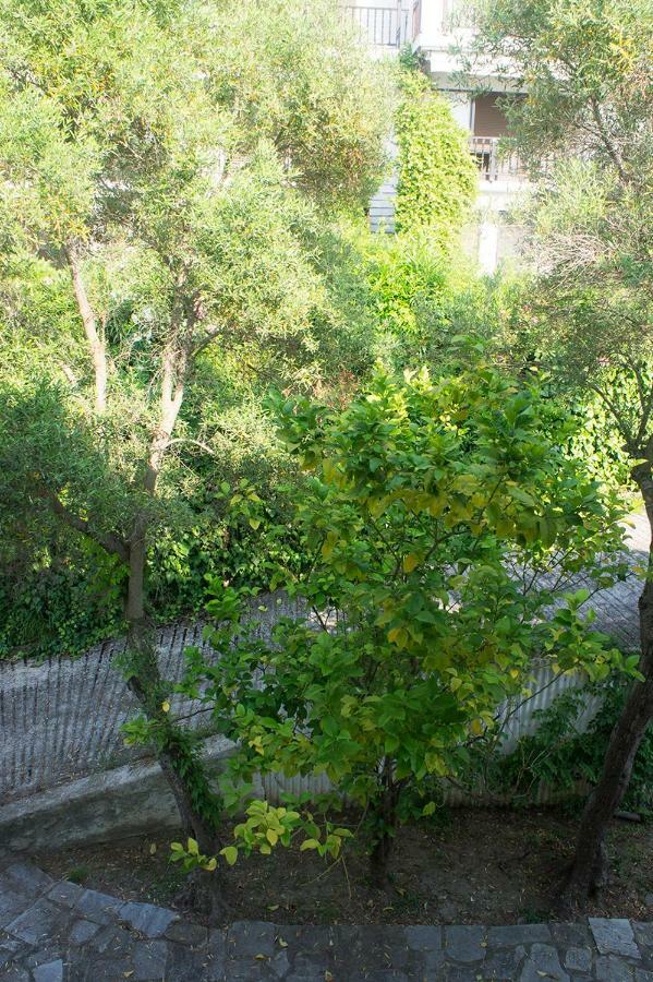 Possidi Aigaiopelagitika 2-Floor Beach House Kalandra Dış mekan fotoğraf